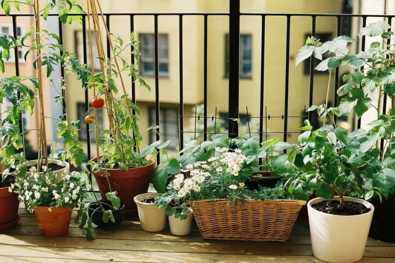Terrace Vastu: घर की छत पर ये चीजें रखने से दूर होती है निगेटिव ऊर्जा, बढ़ती है सकारात्मकता