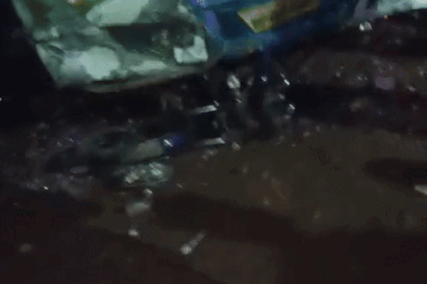MP News: BREAKING तेज रफ्तार बस दुर्गा पंडाल में घुसी, 20 लोग घायल; जबलपुर के सिहोरा में मची भगदड़, 6 की हालत गंभीर