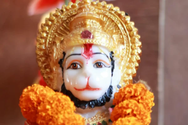 Hanuman: मंगलवार को हनुमान जी की पूजा में अपनाएं ये 1 चमत्कारी उपाय, हर संकट हो जाएगा दूर