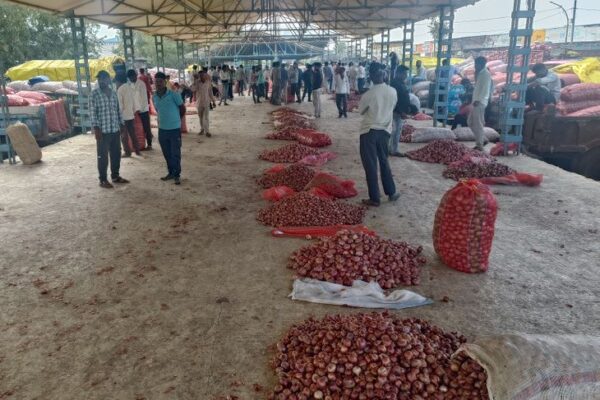 Onion: MP News में प्याज की 10 हजार कट्टे की आवक, शुजालपुर मंडी में लहसुन-प्याज के दाम गिरे, भाव 800 से 1200 प्रति क्विंटल रहा