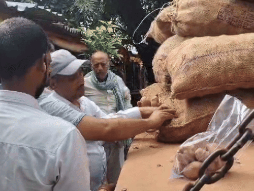 Mandi में सील तोड़कर बेच दिया लाल आलू: व्यापारी का दावा, उन्होंने नहीं तोड़ा; जांच में जुटा खाद्य सुरक्षा विभाग