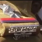 Visit: नैनीताल में राष्ट्रपति मुर्मु की सुरक्षा में 1500 पुलिसकर्मी